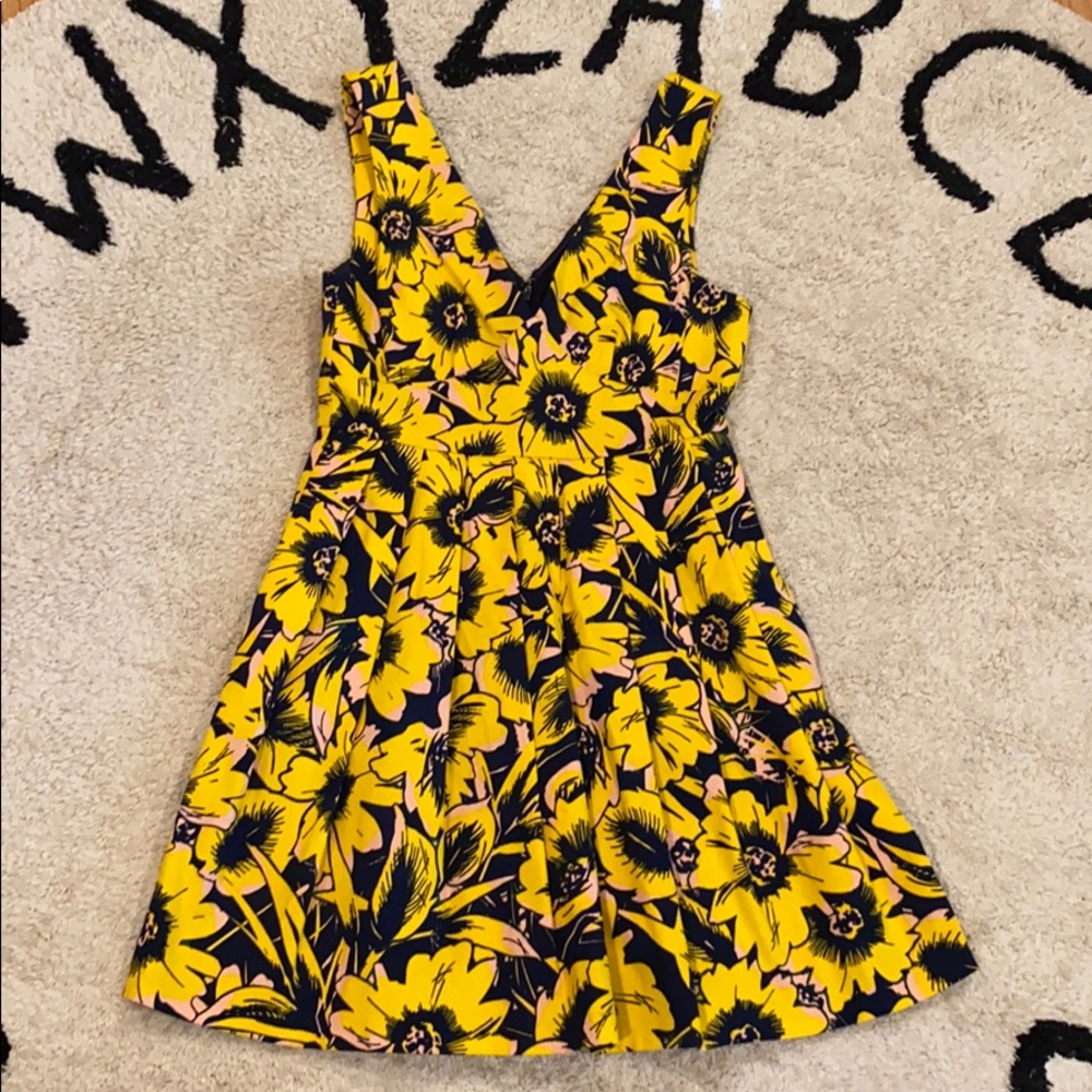 JCrew Factory Dress